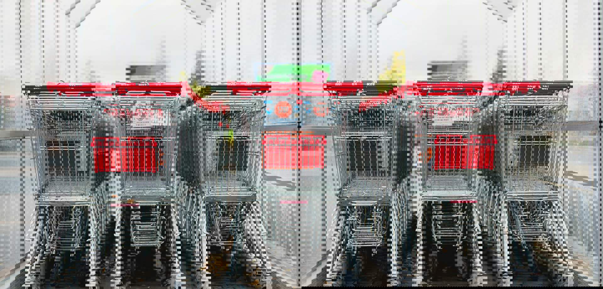 Improof has created a clear analysis and roadmap that allowed us to optimise our&nbsp; logistics operations.