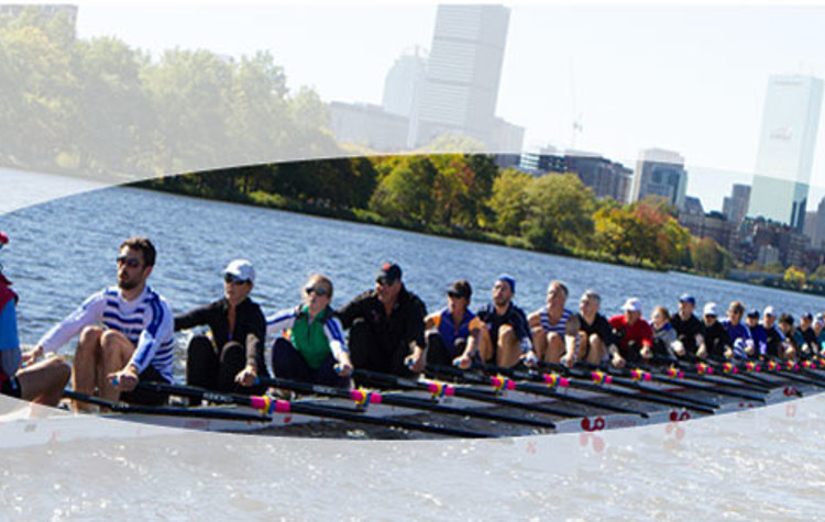 Improof Solutions Share Vision 600X300